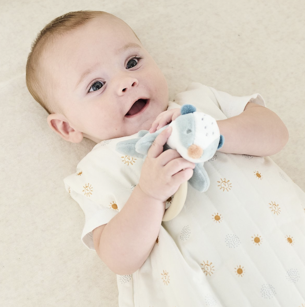 Nattou | Bijtring Félix & Léo Das Felix