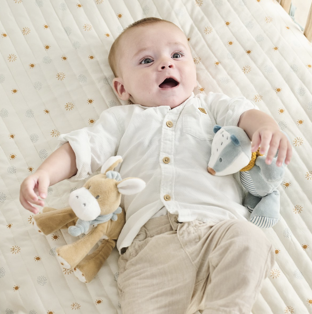 Nattou | Pluche Knuffel Félix & Léo Mini Das Felix