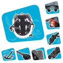 Crazy Safety | Fietshelm Giraffe Bicycle Helmet Blue