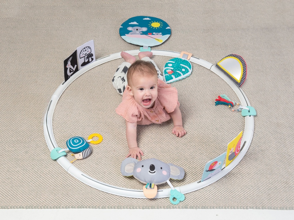 Taf Toys | ALL AROUND ME ACTIVITY HOOP   