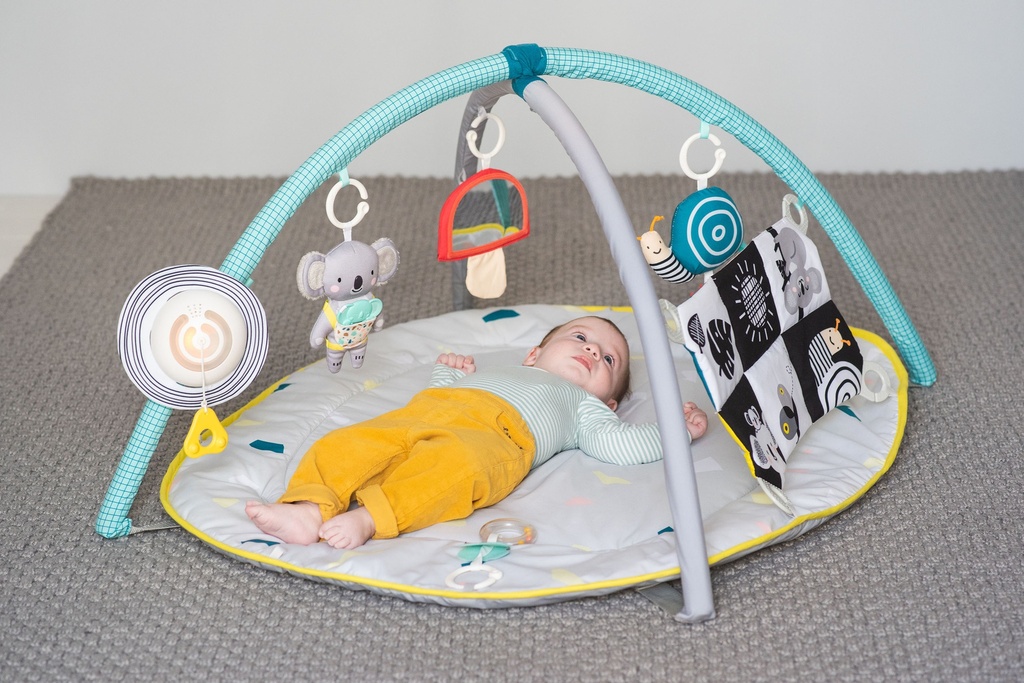 Taf Toys | Speeltapijt met Speelboog All Around Me Gym             