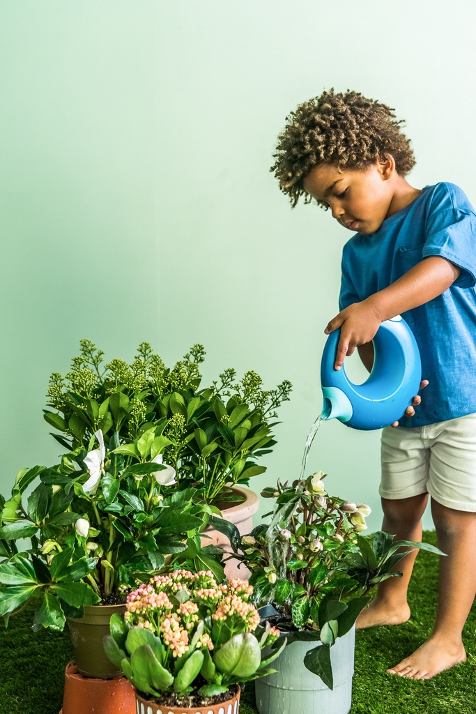 Quut | Gieter Cana Large Ocean 1L