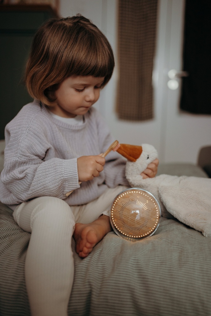 Kidywolf Kidytimer - Timer om kinderen de tijd te leren