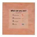 Tiger Tribe | Kleurboek Kleuren met Water Safari Avonturen