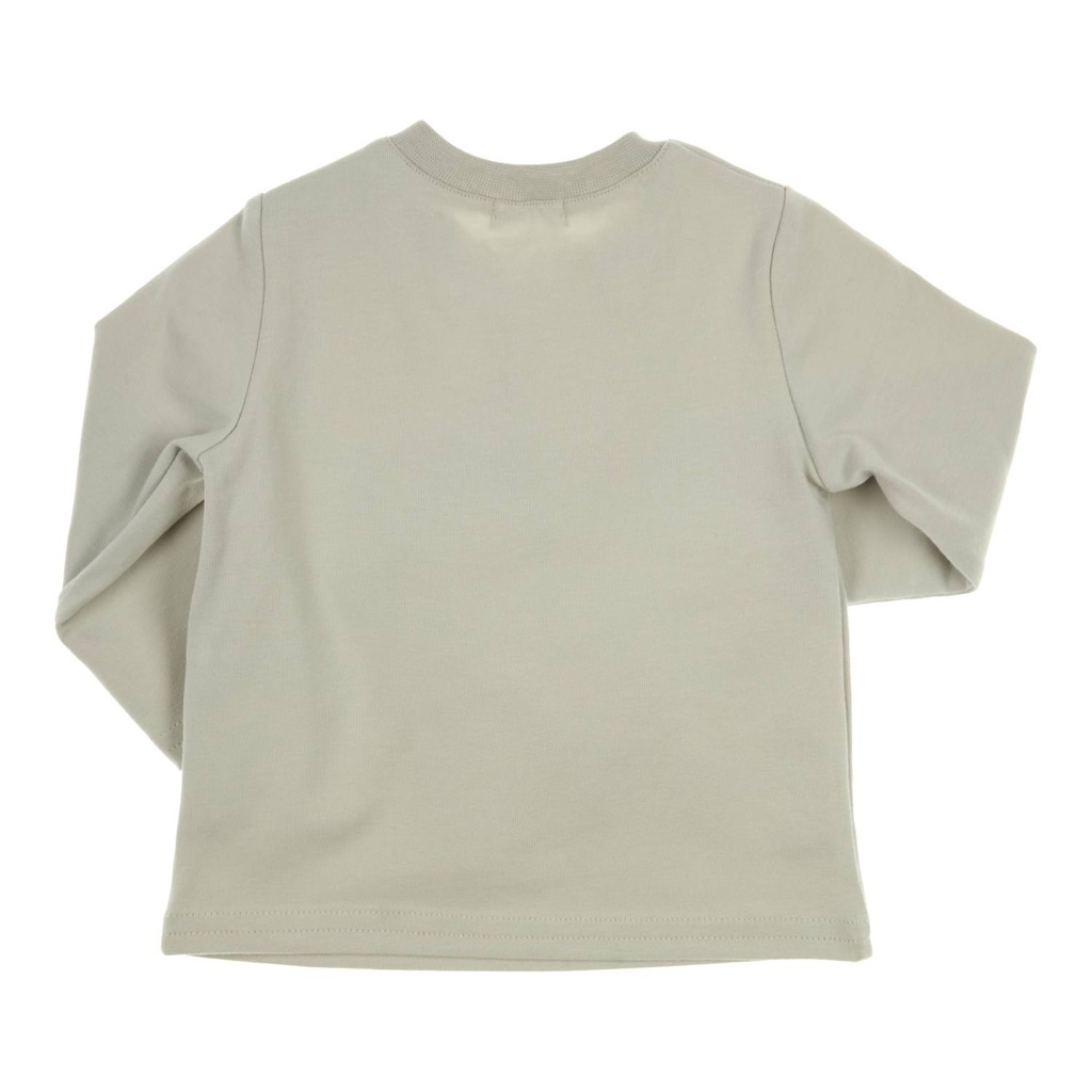 Gymp | T-shirt Boys Longsleeve Aerodoux Pale Green 