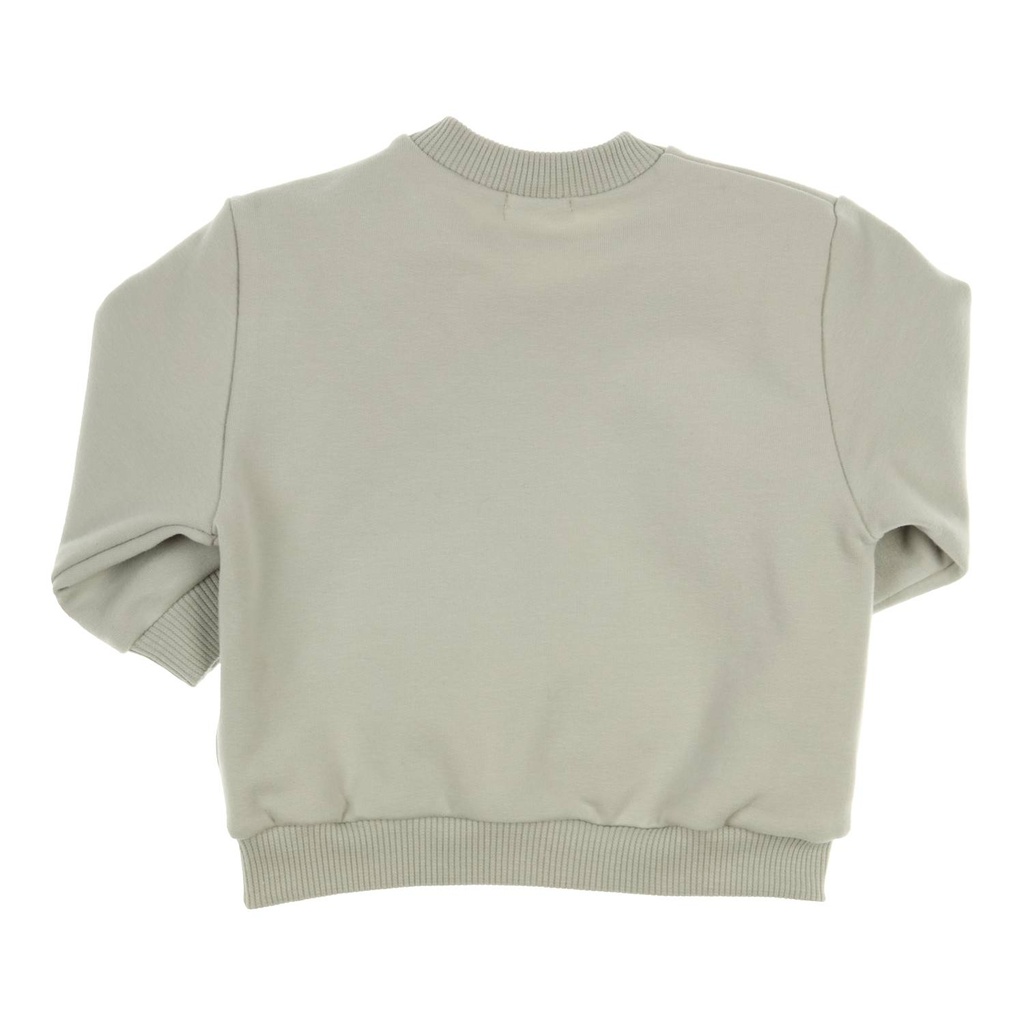 Gymp | Pull Boys Sweater Carbondoux Pale Green