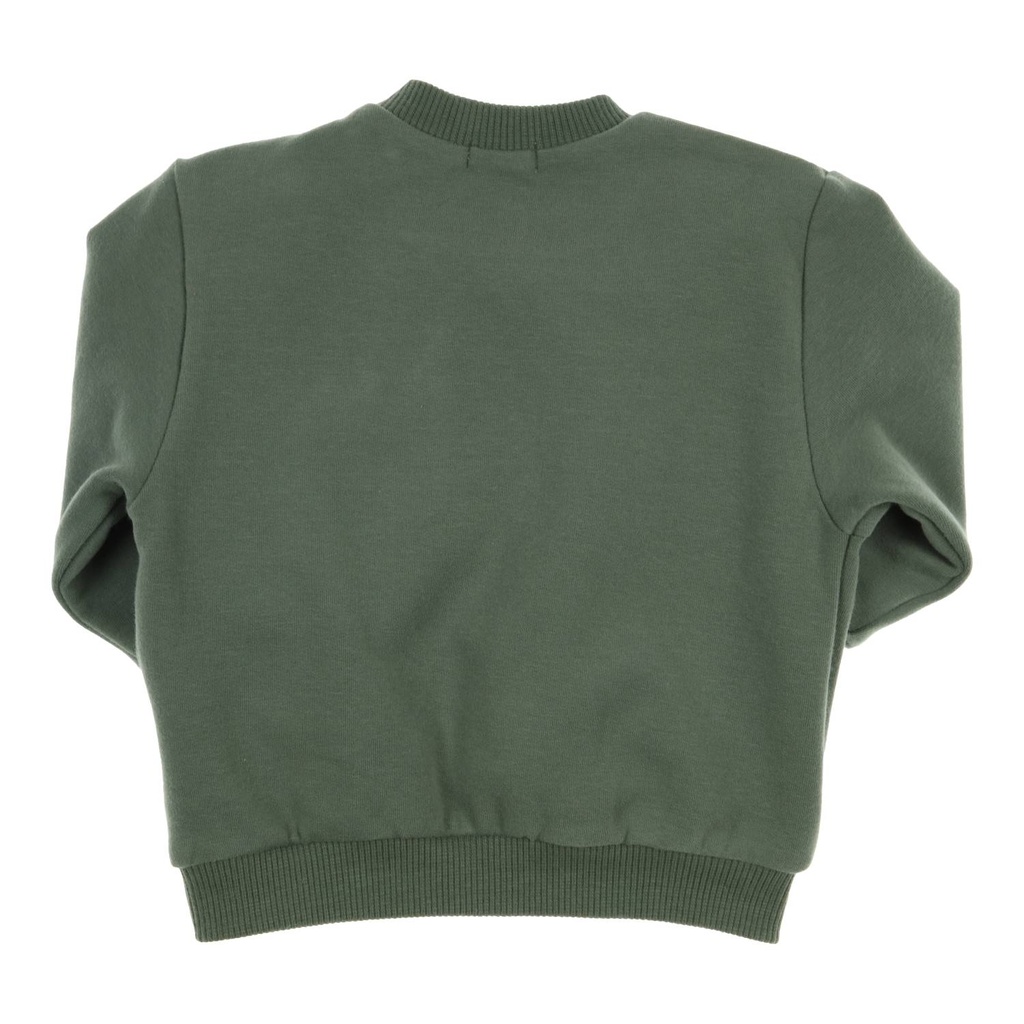 Gymp | Pull Boys Sweater Carbondoux Green