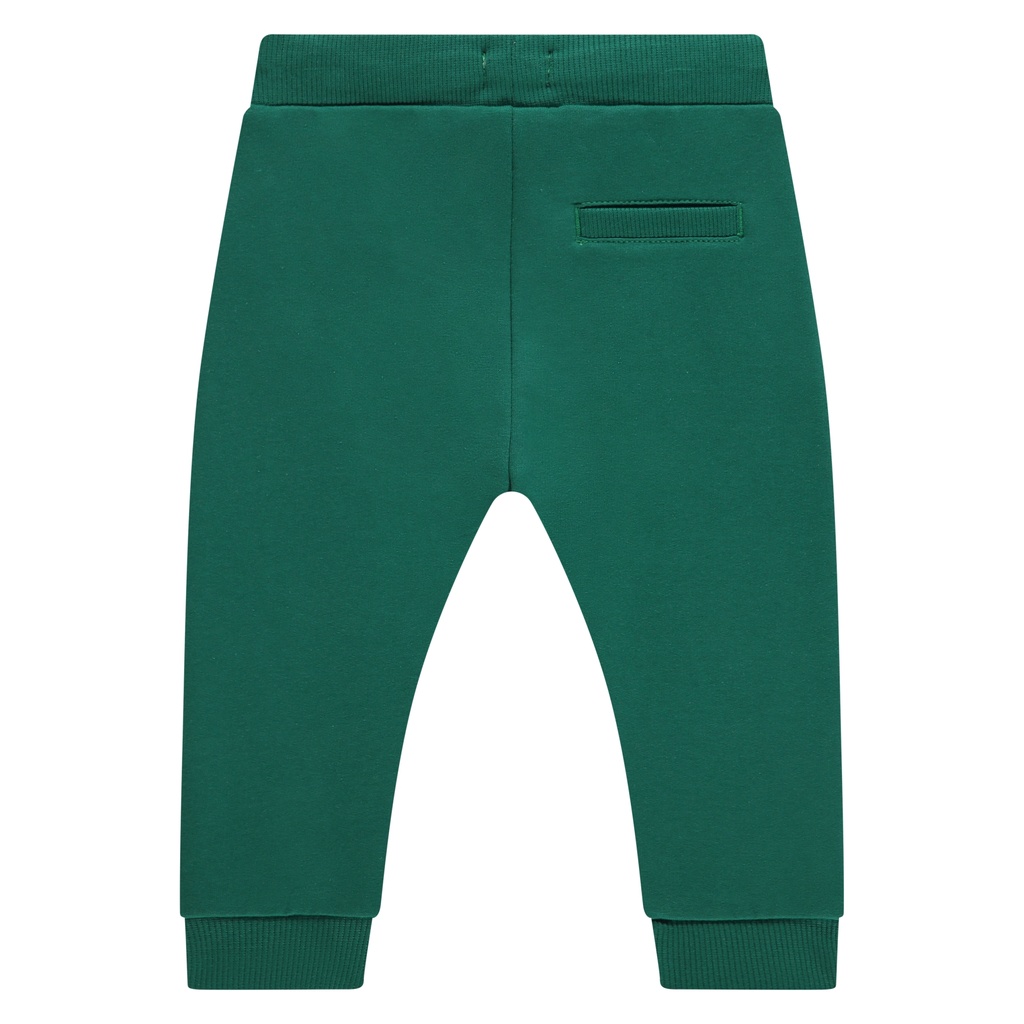 Babyface | Broek Boys Baby Sweatpants Turtle