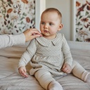 Dirkje | Jurk Girls Pretty Fall Dress Longsleeve Beige Grey