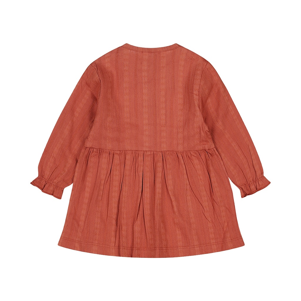 Dirkje | Jurk Girls Berry Dress Longsleeve Terra