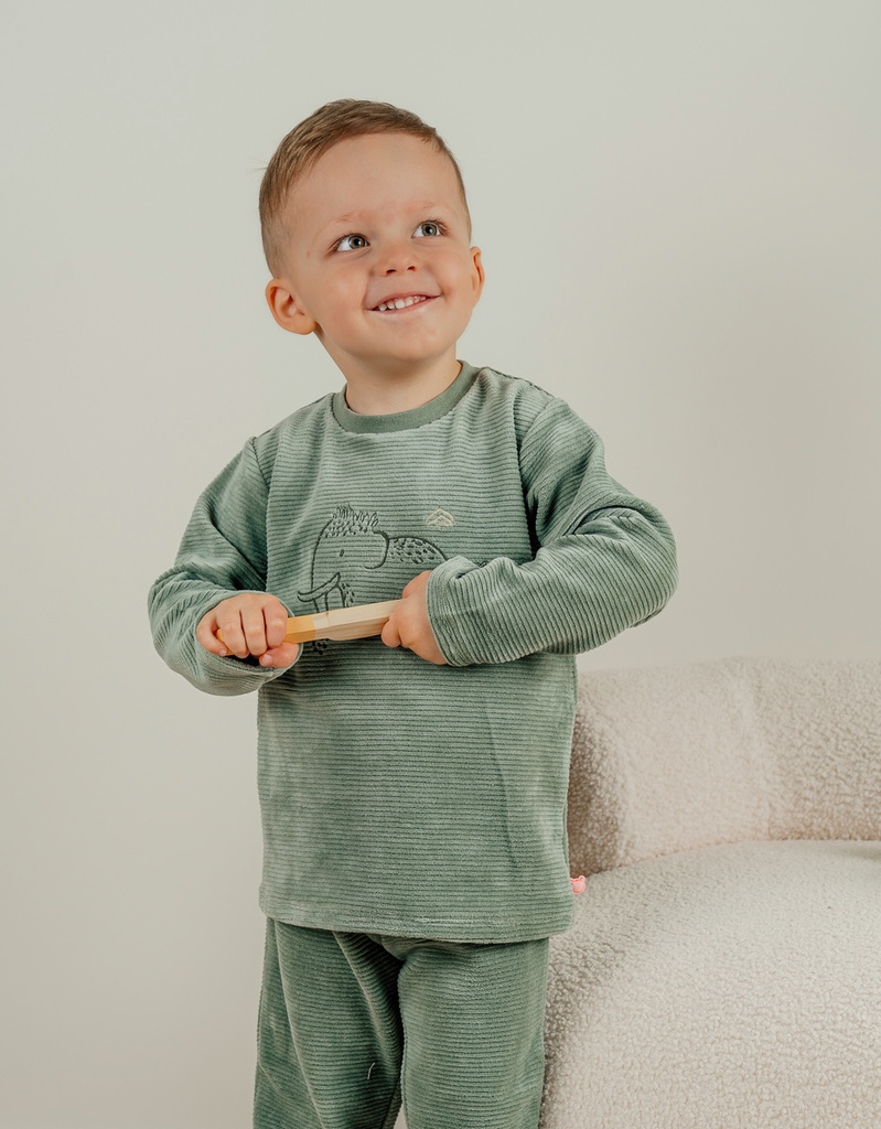 Noukies | Pyjama Funny Mammouth Fluweel Groen 2-pack
