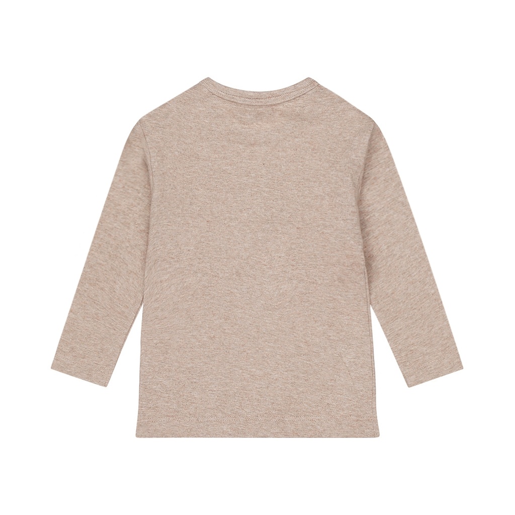 Dirkje | T-shirt Boys Safari Friends T-shirt Longsleeve Faded Brown