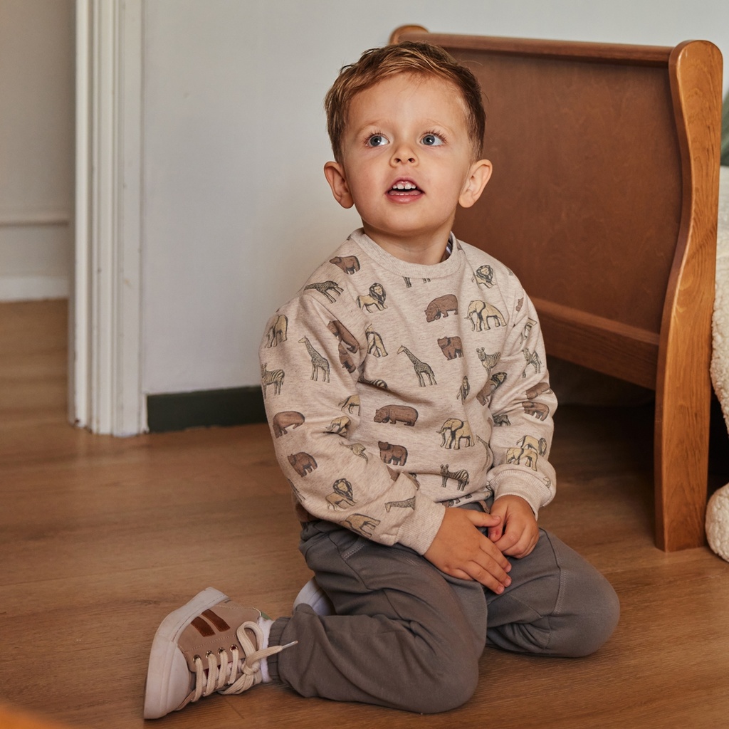 Dirkje | Broek Boys Safari Friends Trousers Loose Fit Grey