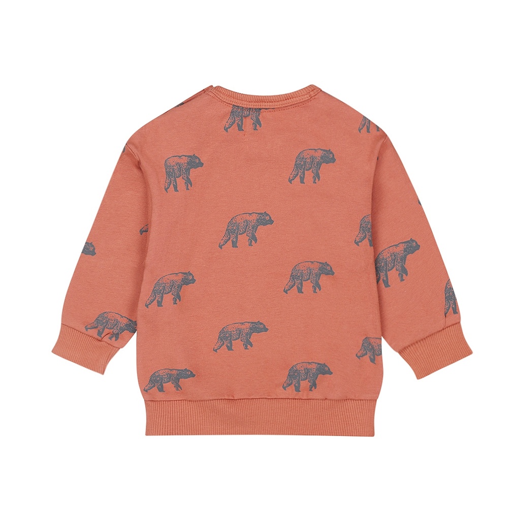 Dirkje | Pull Boys Frosty Friends Sweater With Crew Neck Rust