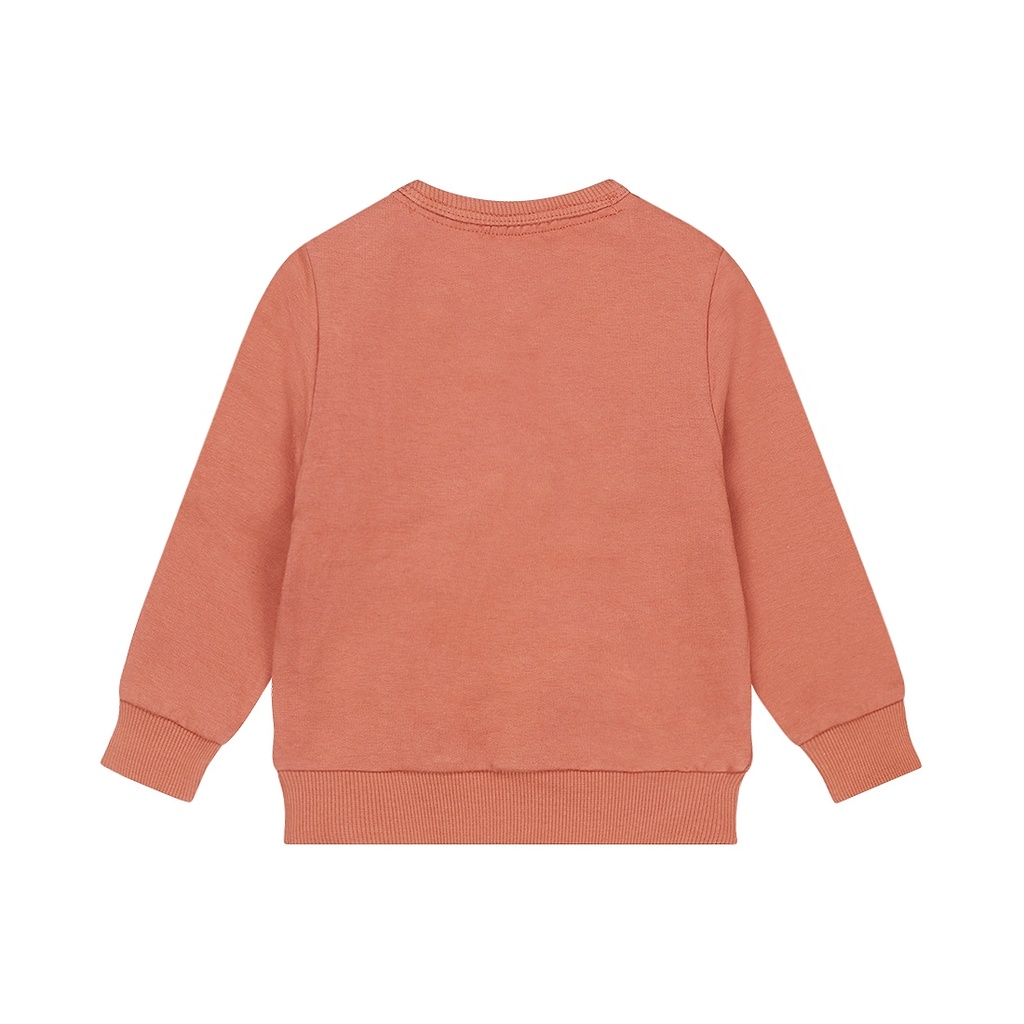 Dirkje | Pull Boys Wildland Sweater Rust