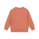 Dirkje | Pull Boys Wildland Sweater Rust