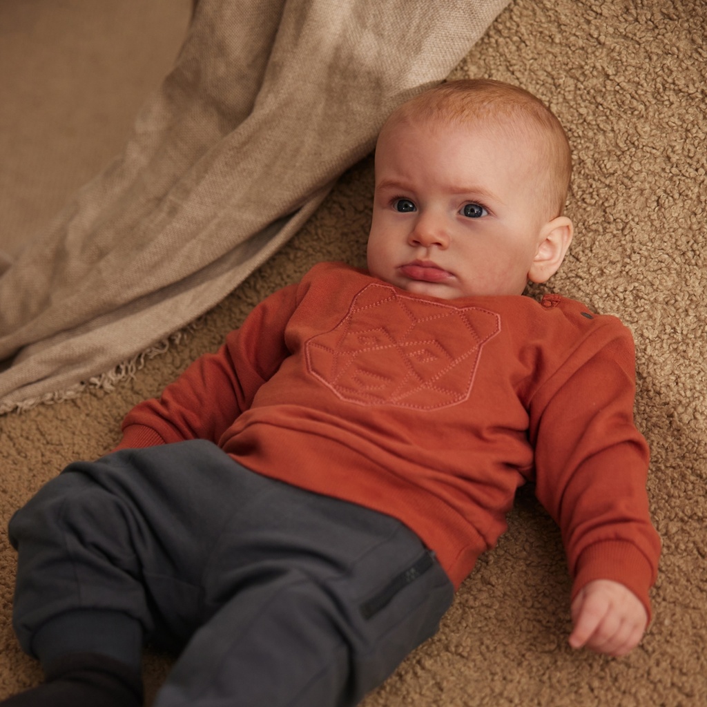 Dirkje | Pull Boys Wildland Sweater Rust