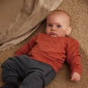 Dirkje | Pull Boys Wildland Sweater Rust