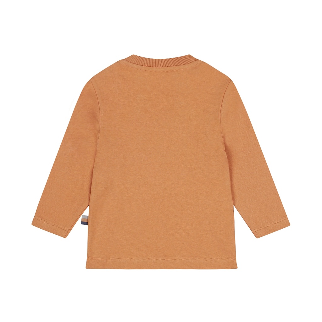 Dirkje | Pull Boys Woodland Sweater Light Grey (kopie)