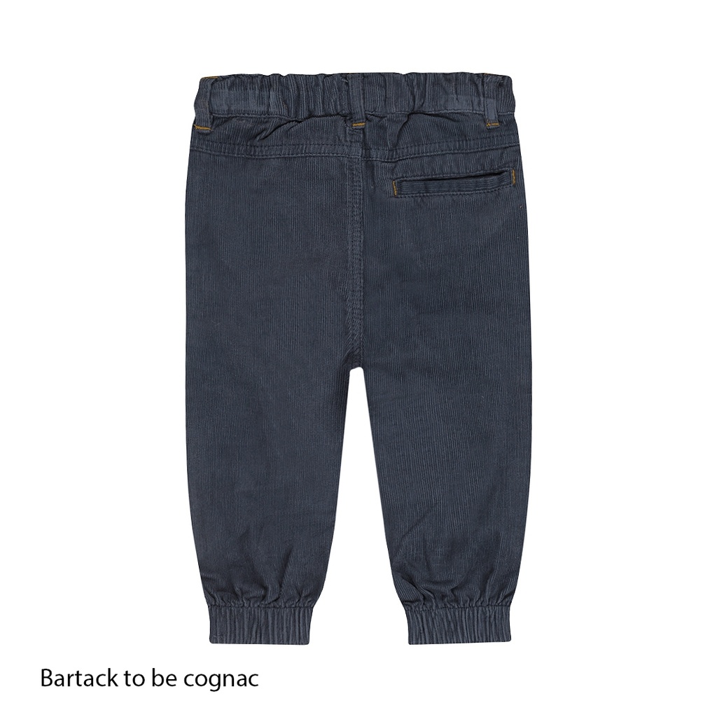 Dirkje | Broek Boys Woodland Trousers Navy
