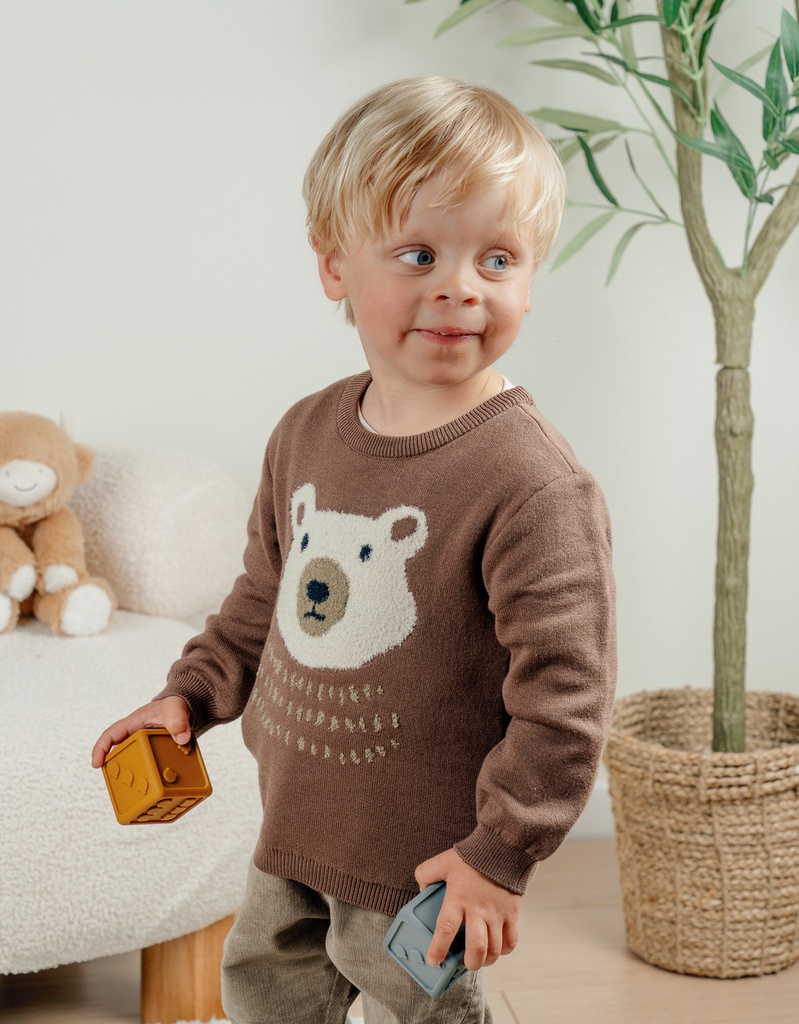 Noukies | Pull Little Bear Gebreid Bruin