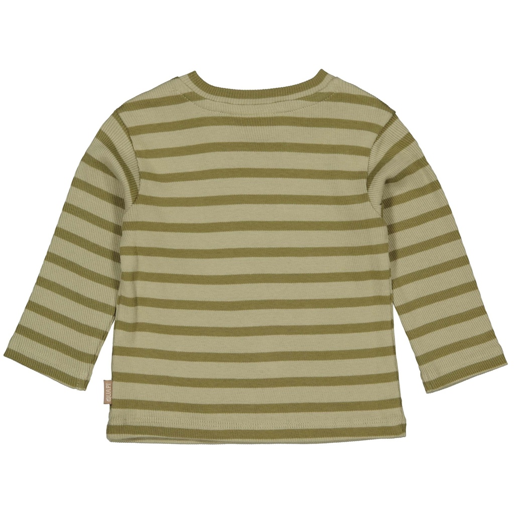 Quapi | T-shirt Boys Kayden Dark Green Stripe