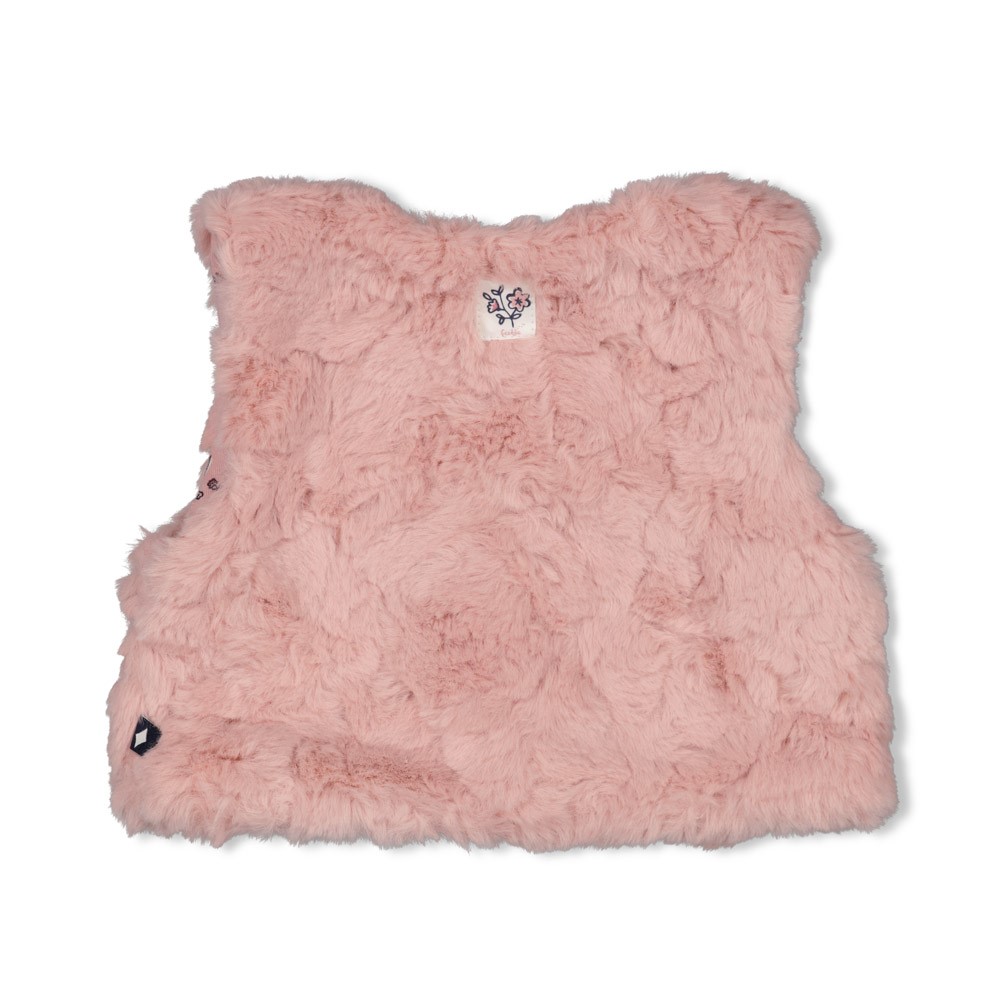 Feetje | Gilet Swanlake Roze