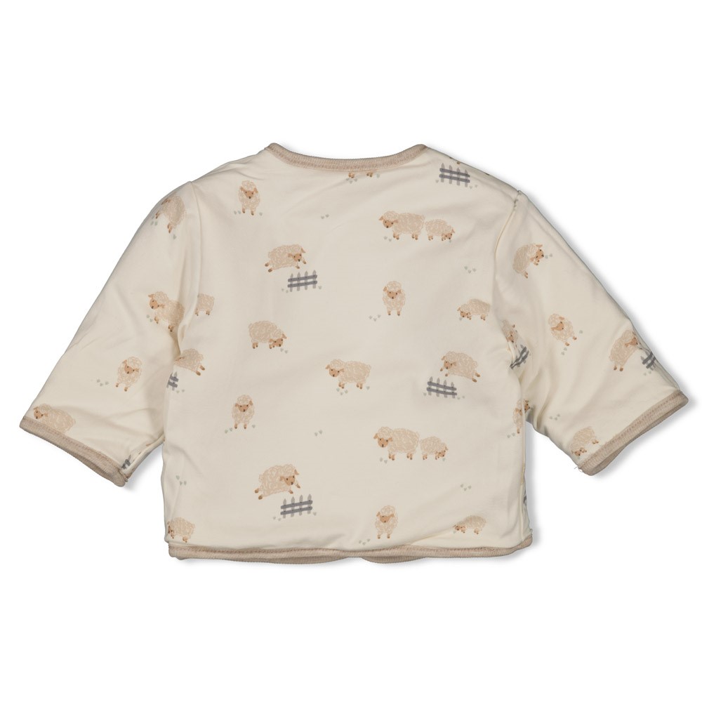 Feetje | Gilet Sleepy Sheepy Omkeerbaar Taupe Melange