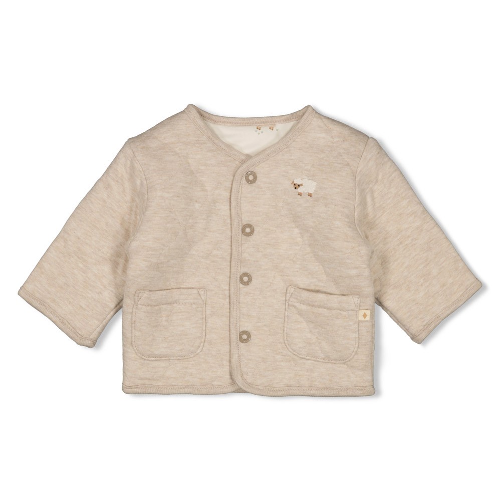 Feetje | Gilet Sleepy Sheepy Omkeerbaar Taupe Melange