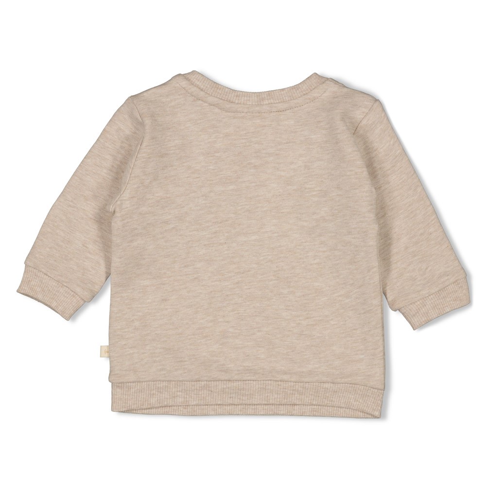 Feetje | Pull Sleepy Sheepy Taupe Melange