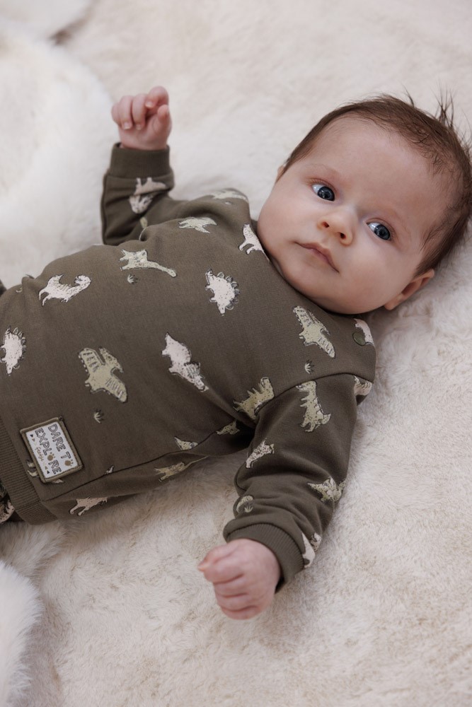 Feetje | Pull Rawrsome Olijf