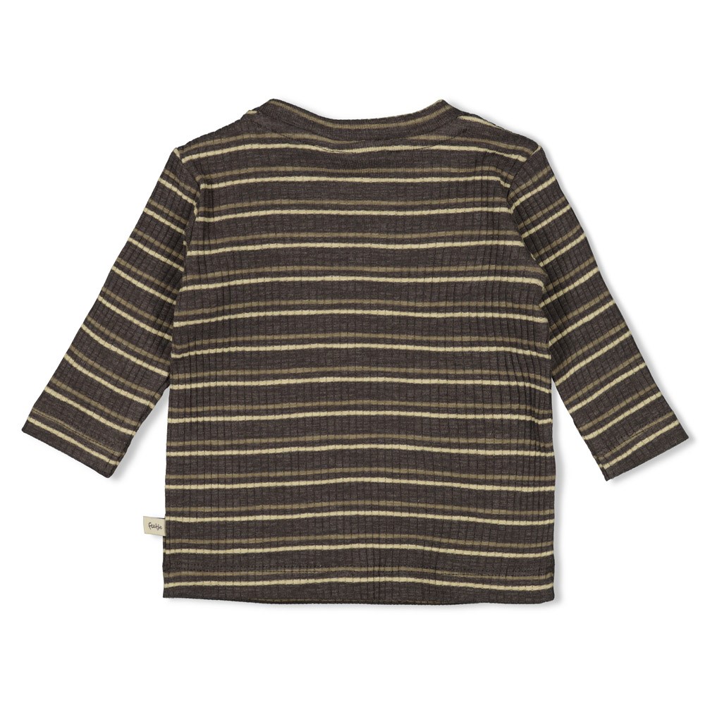 Feetje | T-shirt Rawrsome Longsleeve Stripes Antraciet Melange