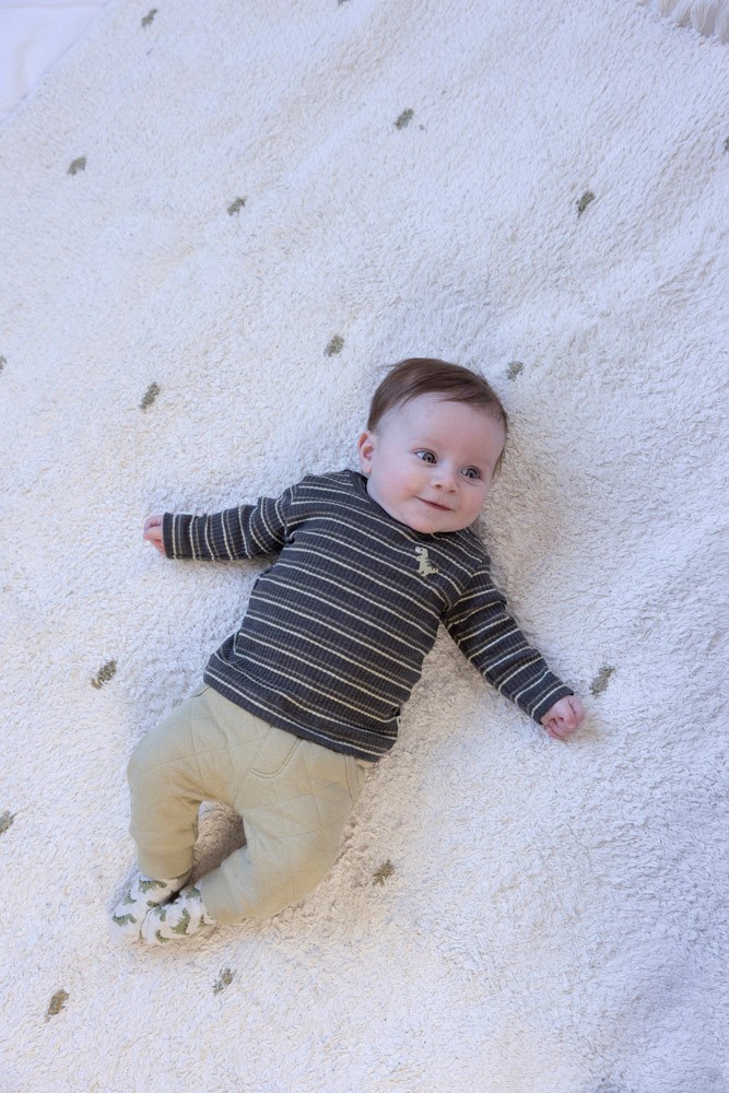 Feetje | T-shirt Rawrsome Longsleeve Stripes Antraciet Melange