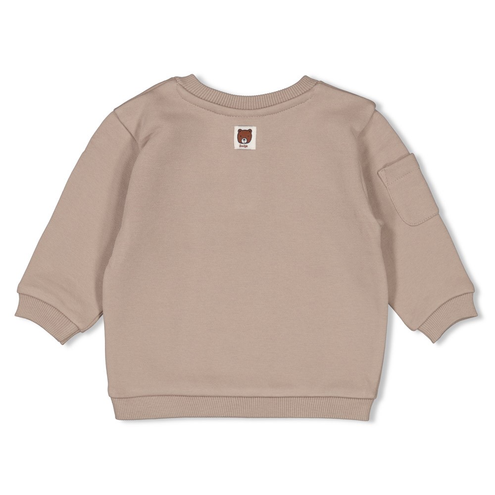 Feetje | Pull Wild World Grijs