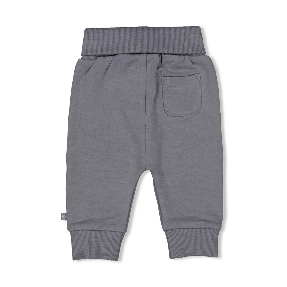 Feetje | Broek Howdy Blauw