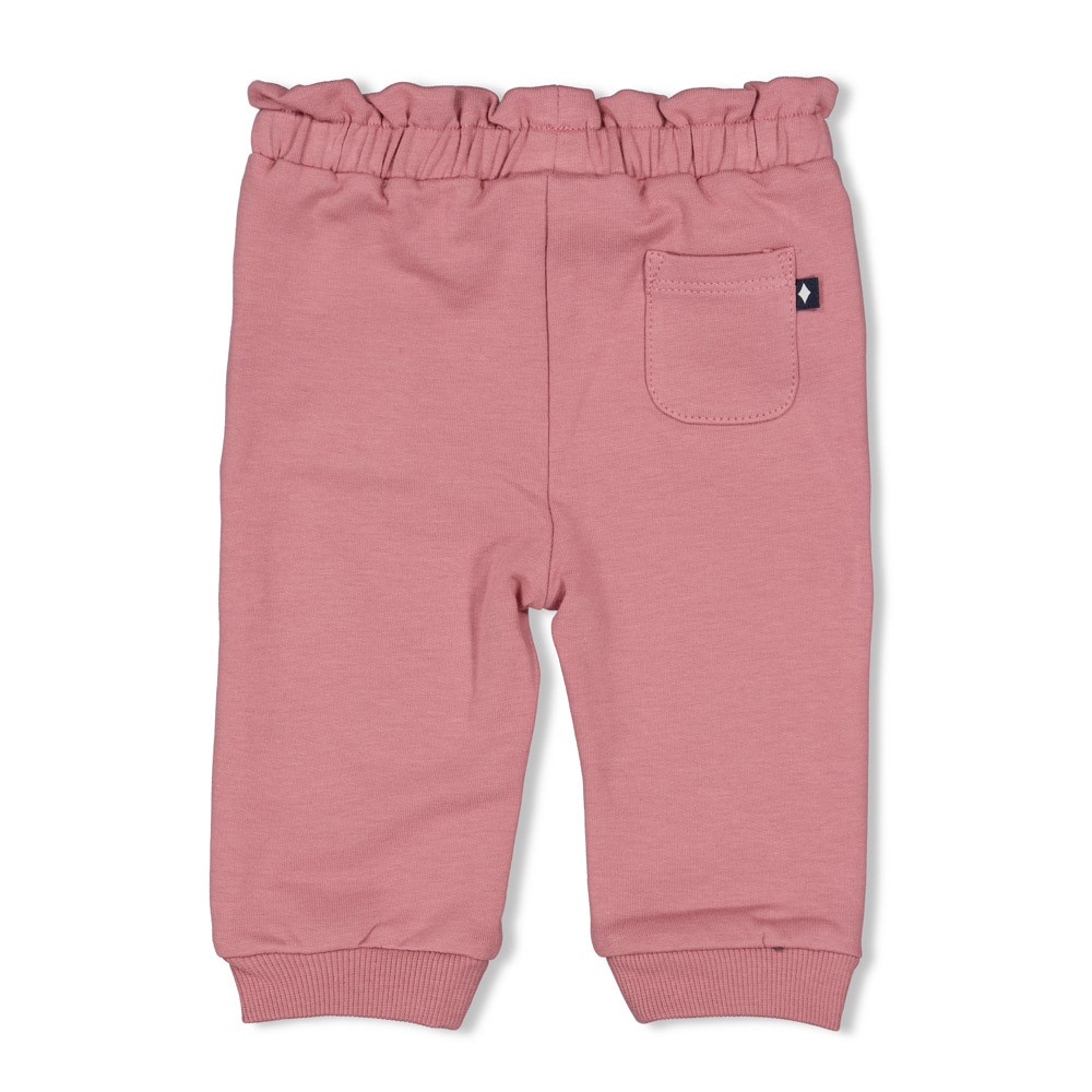 Feetje | Broek Swanlake Mauve