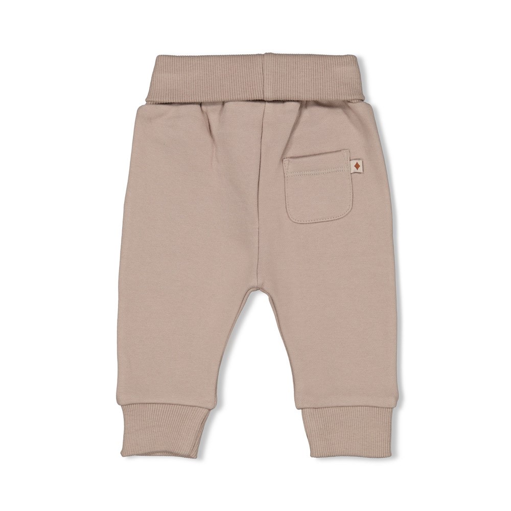 Feetje | Broek Wild World Grijs