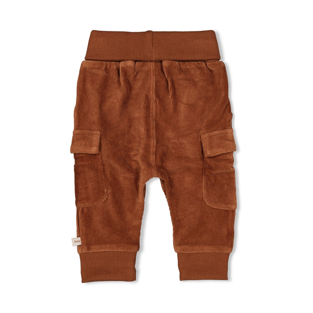 Feetje | Broek Wild World Bruin