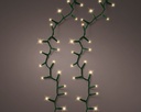 Lumineo | Verlichting Compact Twinkle Outdoor 2000 Leds Soft Gold Snoer Groen 45m + 5m Aanloopsnoer 8 Functies Adapter