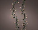 Lumineo | Verlichting Compact Twinkle Outdoor 500 Leds Klassiek Warm Snoer Groen 11m + 5m Aanloopsnoer 8 Functies Adapter