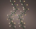 Lumineo | Verlichting Compact Twinkle In/Outdoor 1000 Leds Klassiek Warm Wit Snoer Groen 22,5m + 5m Aanloopsnoer 8 Functies