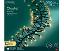 Lumineo | Verlichting Cluster 3000 Leds In/Outdoor Soft Gold Snoer Zwart 28m