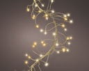 Lumineo | Verlichting Cluster Twinkle Micro Lichtsnoer In/Outdoor 1440 Leds Klassiek Warm Wit Snoer Goud 6m + 9m Aanloopsnoer 8 Functies