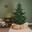Kaemingk | Kerstboom Greenway Spruce Groen
