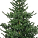 Kaemingk | Kerstboom Greenway Spruce Groen Ø152cmxH 210cm 