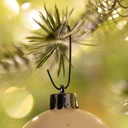 Kaemingk | Haakjes Ophangertjes vr Kerstboom Groen Metaal Plastic Coated 75-pack