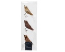 Kaemingk | Kerstfiguur Vogel Glas op Clip 3-pack