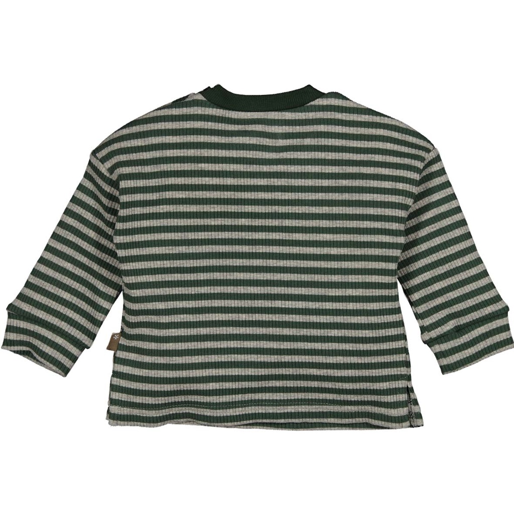 Bess | T-shirt Boys Longsleeve Striped Dessin
