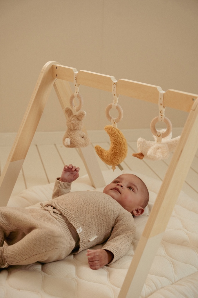 Little Dutch | Speelboog Newborn Naturals met Speeltjes Baby Gym 