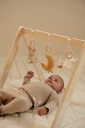 Little Dutch | Speelboog Newborn Naturals met Speeltjes Baby Gym 